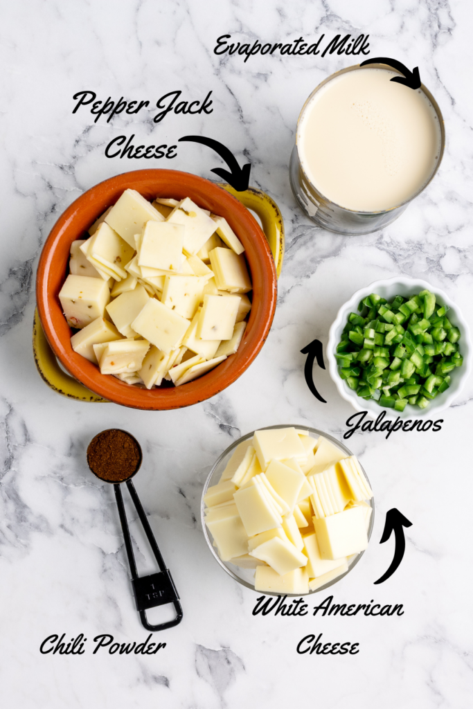 overhead shot of ingredients for queso dip recipe